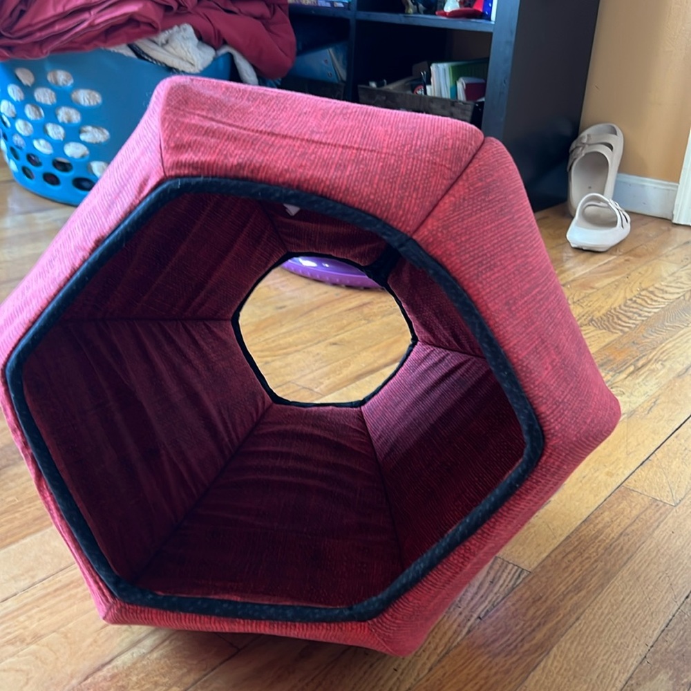 The Cat Ball!